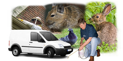 South Croydon local van